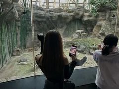 -快乐琴弦音乐舞蹈艺术教育中心(马连道校区)