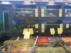 -新金盛·海鲜酒楼(盐田店)