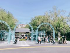-张店儿童公园