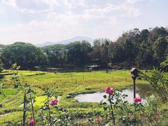 -四季酒店下午茶