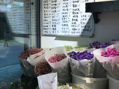 -溪岸路花鸟市场