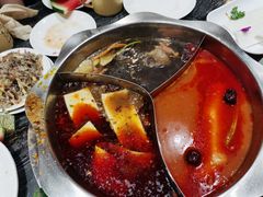 菌汤锅-重庆大队长火锅(凤城八路店)