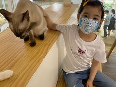 -李小姐の猫咖啡馆(五角场店)