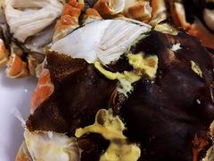 -黄记大闸蟹专卖店·活蟹·醉蟹