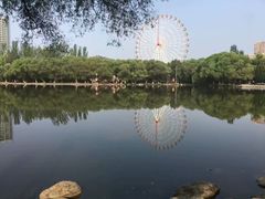 -青城公园
