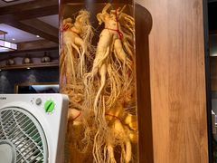 -长寿参鸡汤(朝韩风情街店)