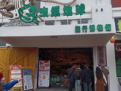 -厦门园林博览苑