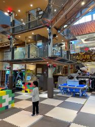 -卡通尼·Safari非洲探索乐园·生日会(金桥国际商业广场店)