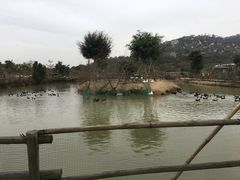 -丹樱生态园