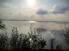 -呼兰河口湿地公园