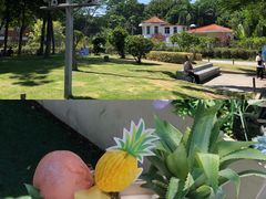 -苏小糖(鼓浪屿三丘田花园店)