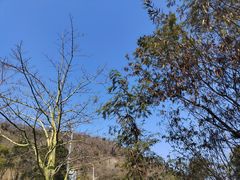 -攀枝花公园