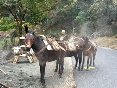 -大明山自然探索公园
