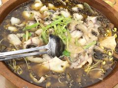 -都江堰石锅鱼