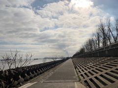 -上海滨江森林公园