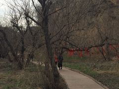 -樱桃沟景区
