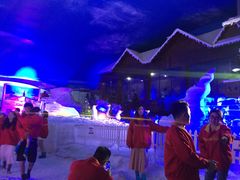 -世界之窗阿尔卑斯冰雪世界