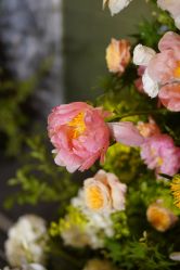 -美薇亭婚礼顾问