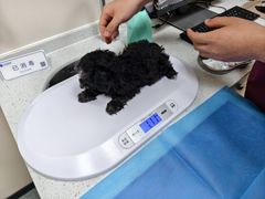 -芭比堂动物医院·CT·微创中心(新顺分院)