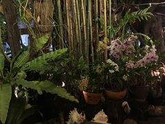 -自然餐厅(Phuket)