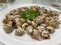 白灼花螺-渔民新村(番禺总店)