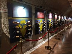 -青岛葡萄酒博物馆