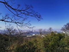 -紫金山山顶公园