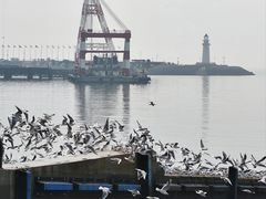 -青岛奥林匹克帆船中心