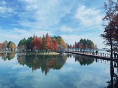 -贡湖湾湿地公园