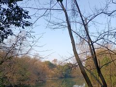 -白马涧龙池景区