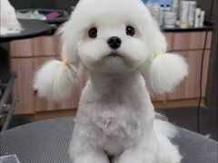 -宠宠熊宠物美容(星湖街店)