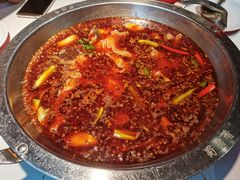 红锅锅底-蜀滋香鲜鱼美蛙火锅(339店)