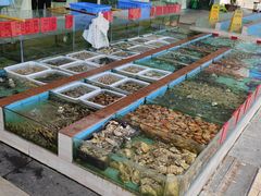 -景好海鲜餐厅(大鹏必选旅游店)