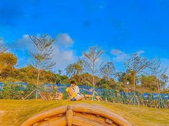 -三亚红色娘子军演艺公园景区
