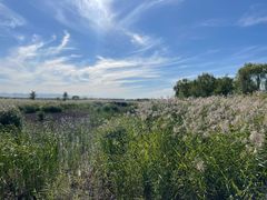 -野鸭湖国家湿地公园