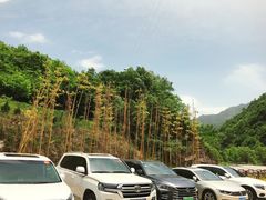 -牛背梁国家森林公园