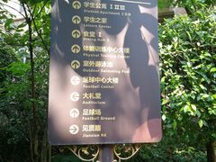 -恒大足球学校