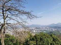 -风云岭森林公园