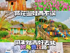 -秀丽东方