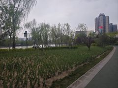-迎泽公园