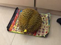 -TASTE(南海万科广场店)