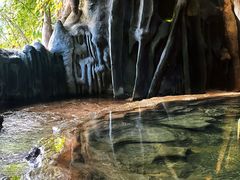 -天芳悦潭度假村温泉