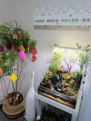-苗塑堂减肥·艾灸
