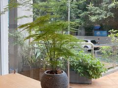-左悦·艾灸调理·推拿按摩·精油SPA(卓悦汇店)