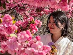 -永定河休闲森林公园