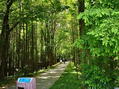 -东湖落雁景区