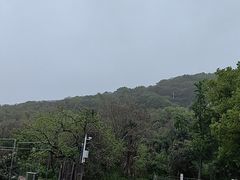 -三山岛