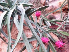 -南通洲际绿博园