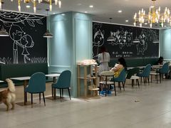 -安格丽娜·狗咖·猫咖羊驼咖(春熙路百盛商场店)