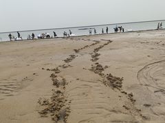 -东疆理想海岸沙滩景区
